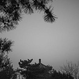 《绝地潜兵2》总监希望本作能成为PlayStation招牌游戏