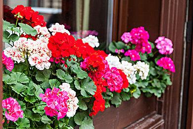 《刺客信条：影》首发PC支持DLSS 4和多帧生成